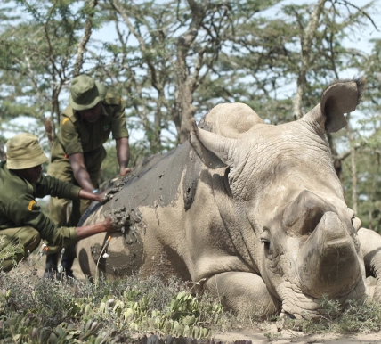 James Jacob Give Sudan Mudbath