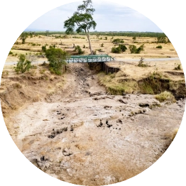 ol pejeta conservancy