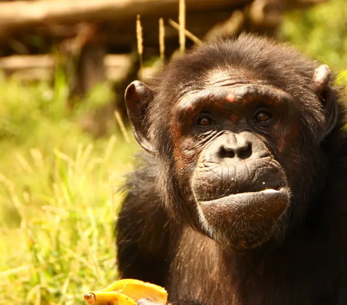 Judy Enjoying Her Favourite Meal