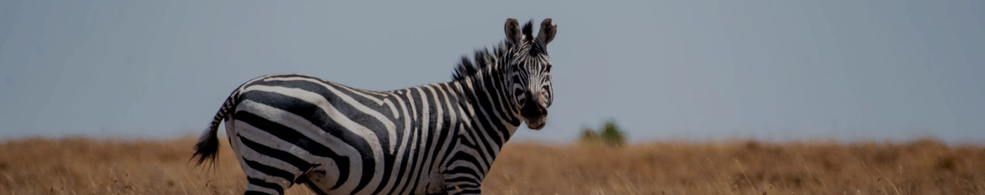 Ol Pejeta Conservancy